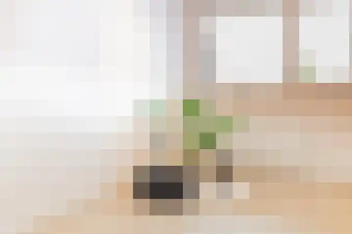 Dorotheagaarde 78 Bussum thumbnail 16