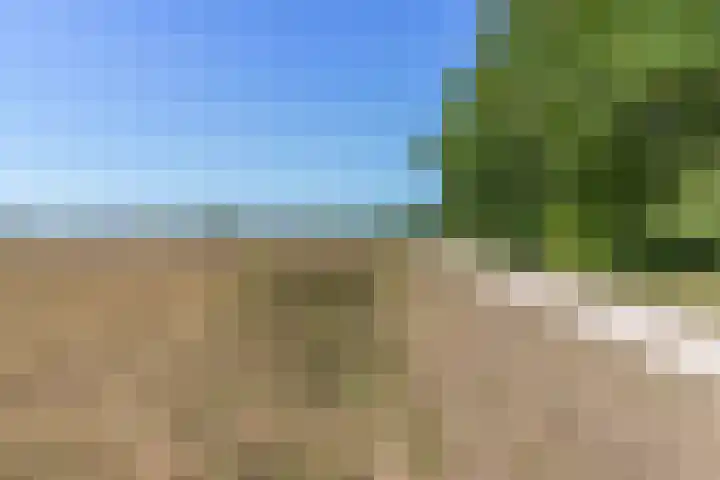 Dorotheagaarde 78 Bussum thumbnail 17