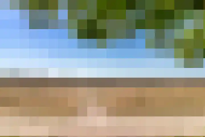 Dorotheagaarde 78 Bussum thumbnail 18
