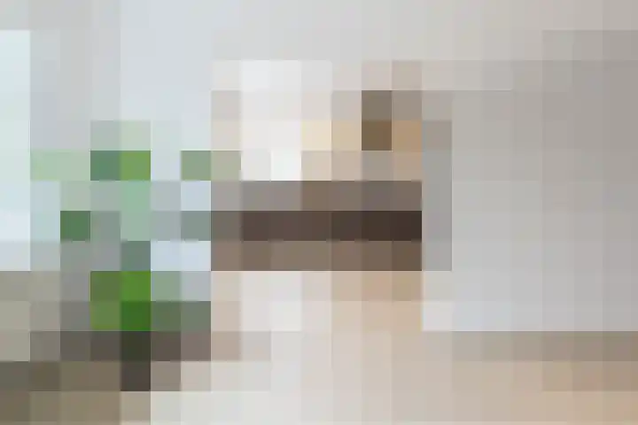 Dorotheagaarde 78 Bussum thumbnail 5