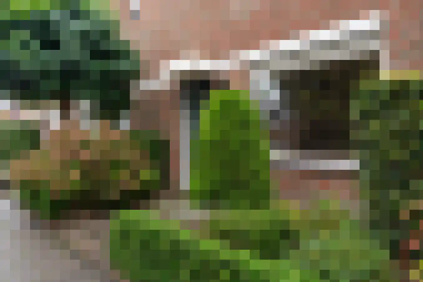 Dorotheagang 26 Zoetermeer thumbnail 14