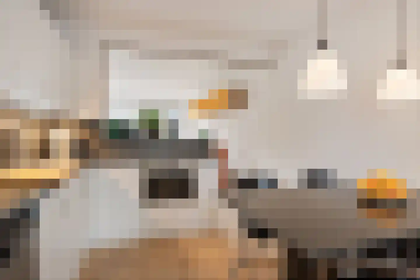 Dorotheagang 26 Zoetermeer thumbnail 22