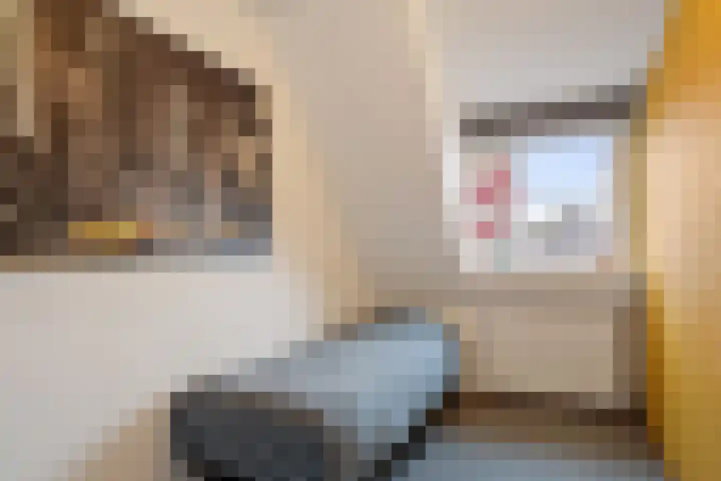 Dorotheagang 26 Zoetermeer thumbnail 31