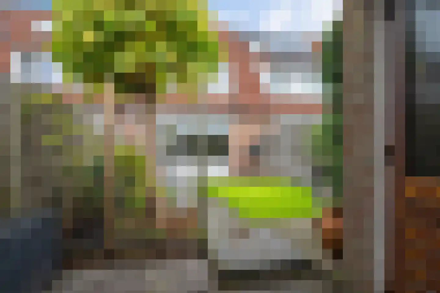 Dorotheagang 26 Zoetermeer thumbnail 44