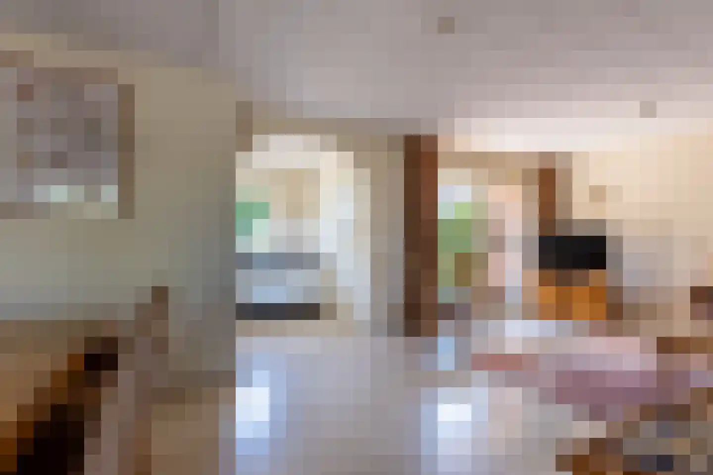 Dorp 173 Benschop thumbnail 18