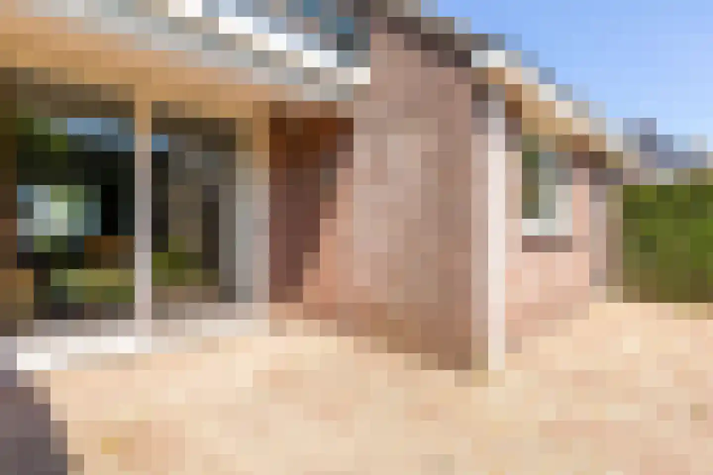 Dorp 173 Benschop thumbnail 53
