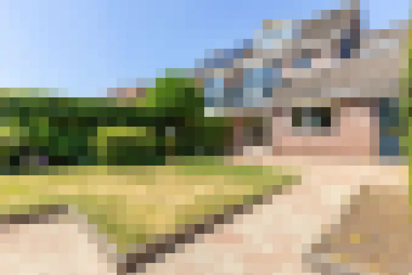 Dorp 173 Benschop thumbnail 56