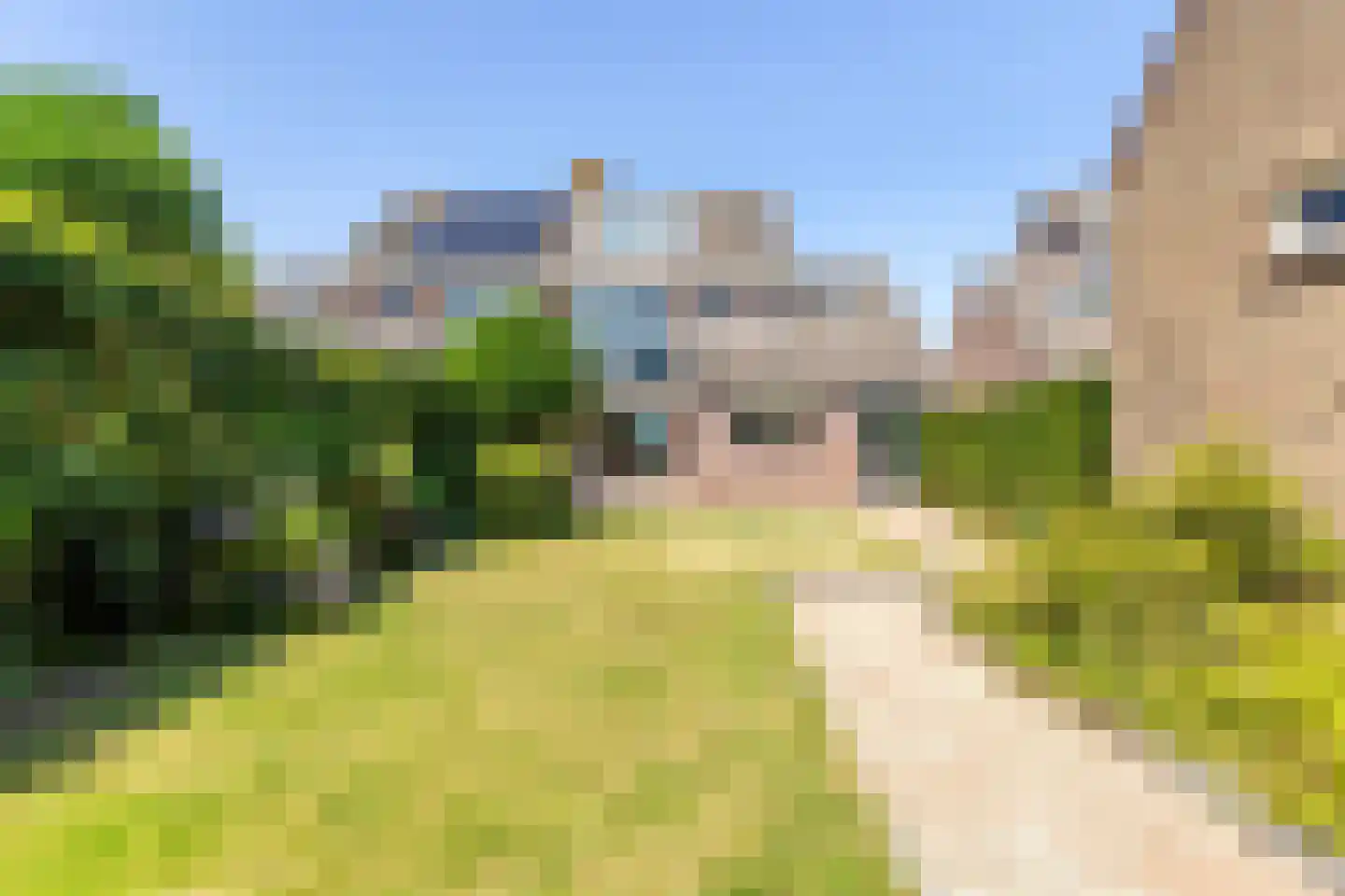 Dorp 173 Benschop thumbnail 57
