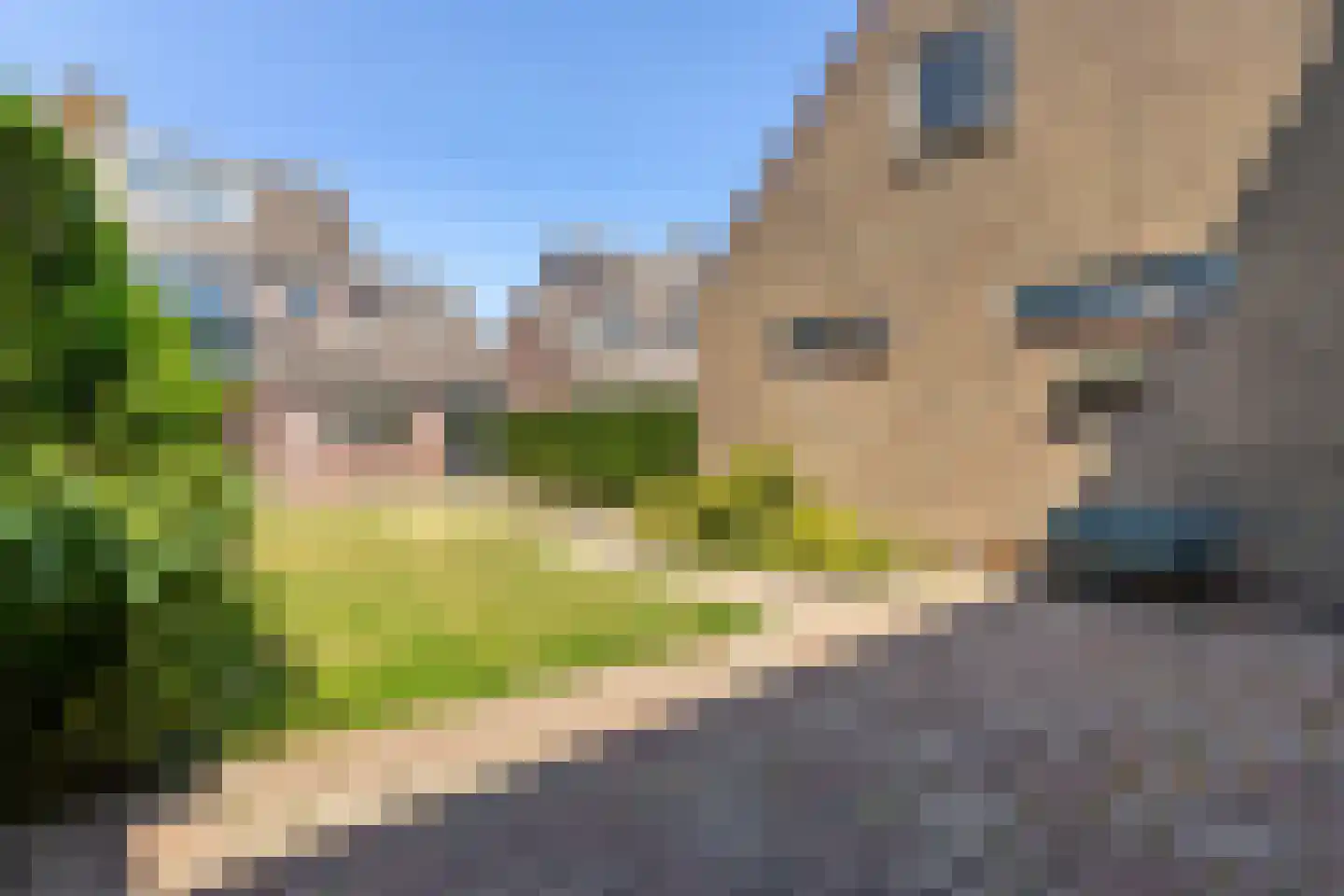 Dorp 173 Benschop thumbnail 58