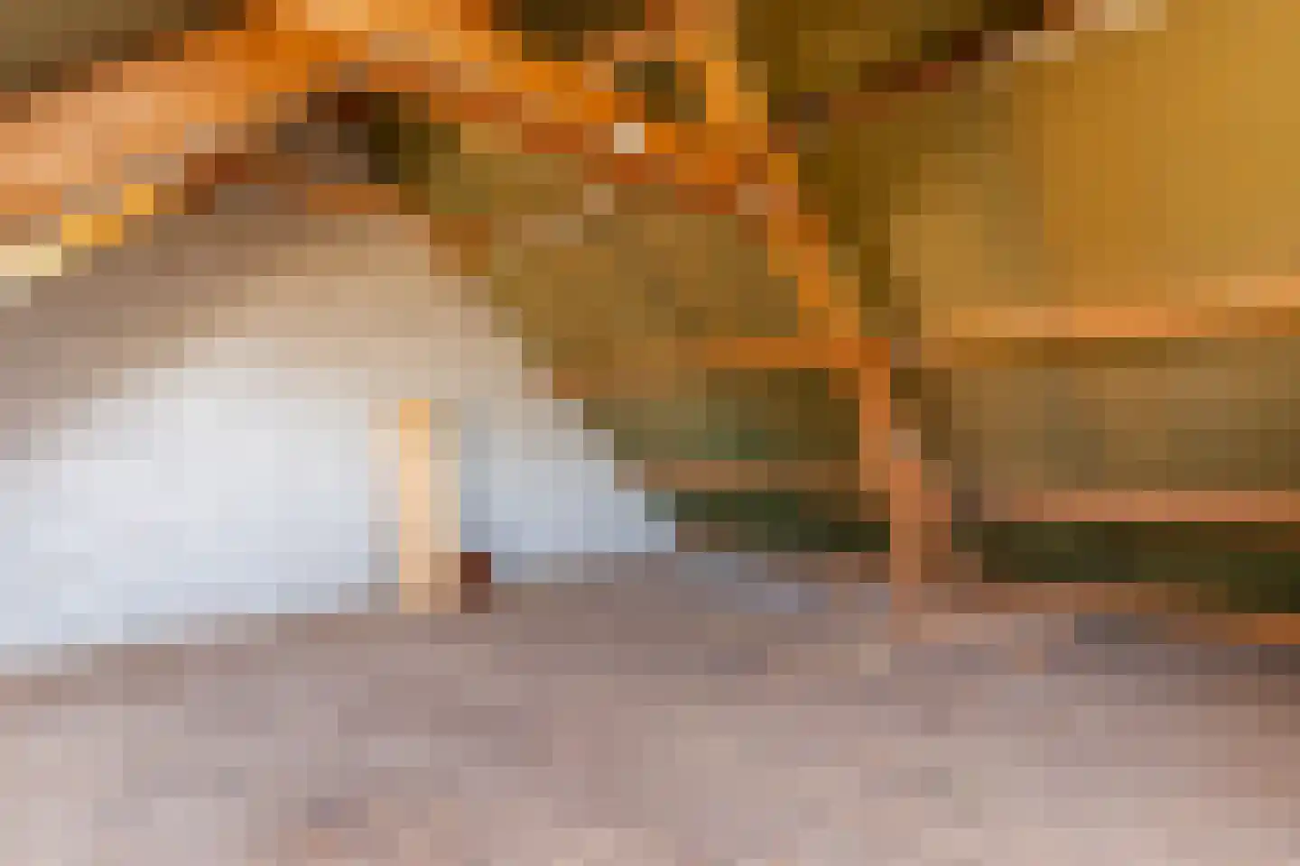 Dorp 173 Benschop thumbnail 63