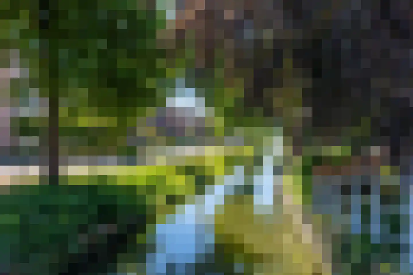 Dorp 173 Benschop thumbnail 70