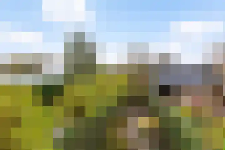Dorp 49 A Polsbroek thumbnail 22
