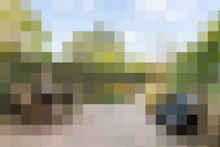 Dorp 49 A Polsbroek thumbnail 33