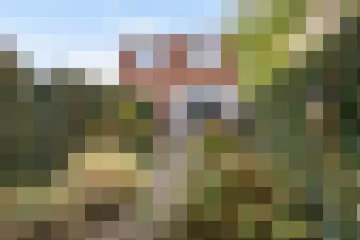 Dorp 49 A Polsbroek thumbnail 34