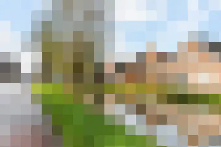Dorp 49 A Polsbroek thumbnail 36