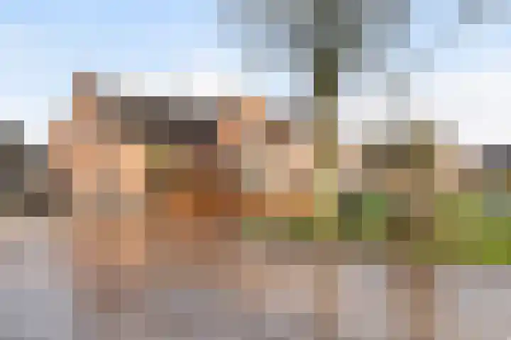 Dorp 49 A Polsbroek thumbnail 37
