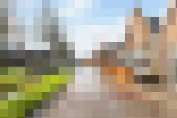 Dorp 49 A Polsbroek thumbnail 38