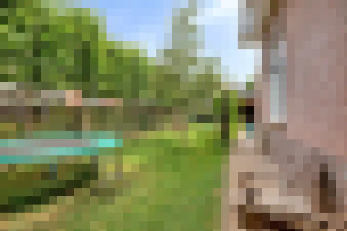 Dorp 64 Polsbroek thumbnail 42