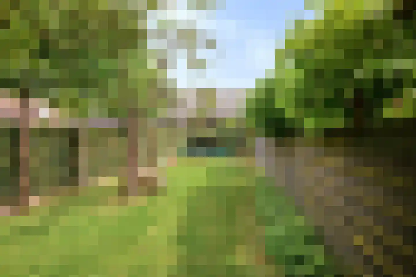 Dorp 64 Polsbroek thumbnail 43