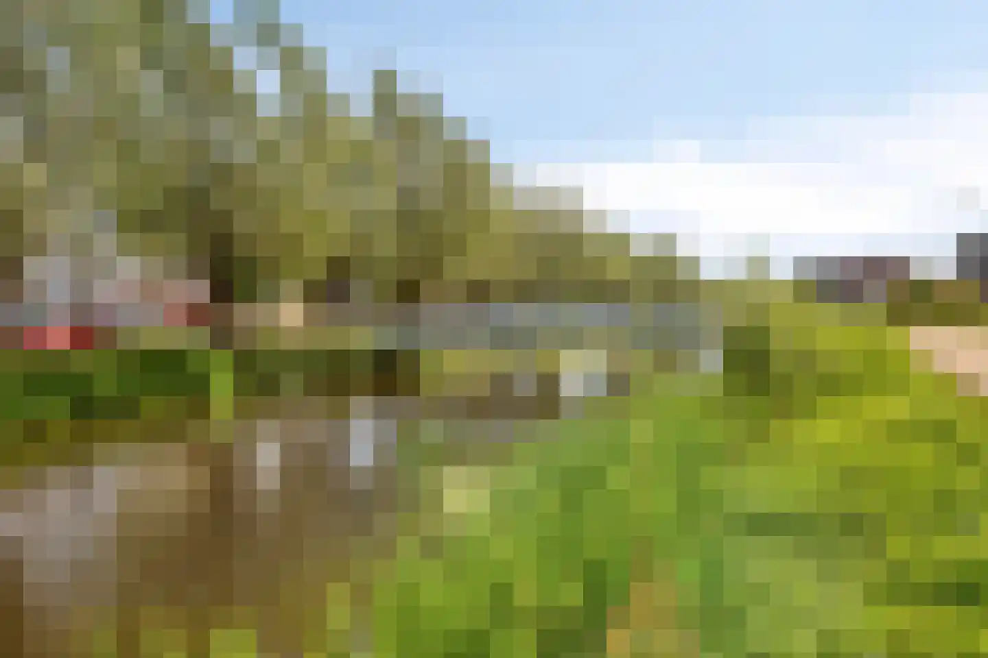 Dorp 64 Polsbroek thumbnail 48