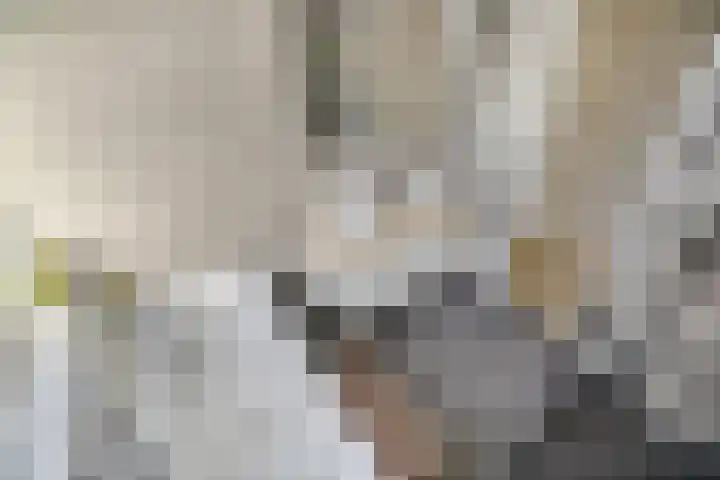 Dorp 69 en Polsbroek