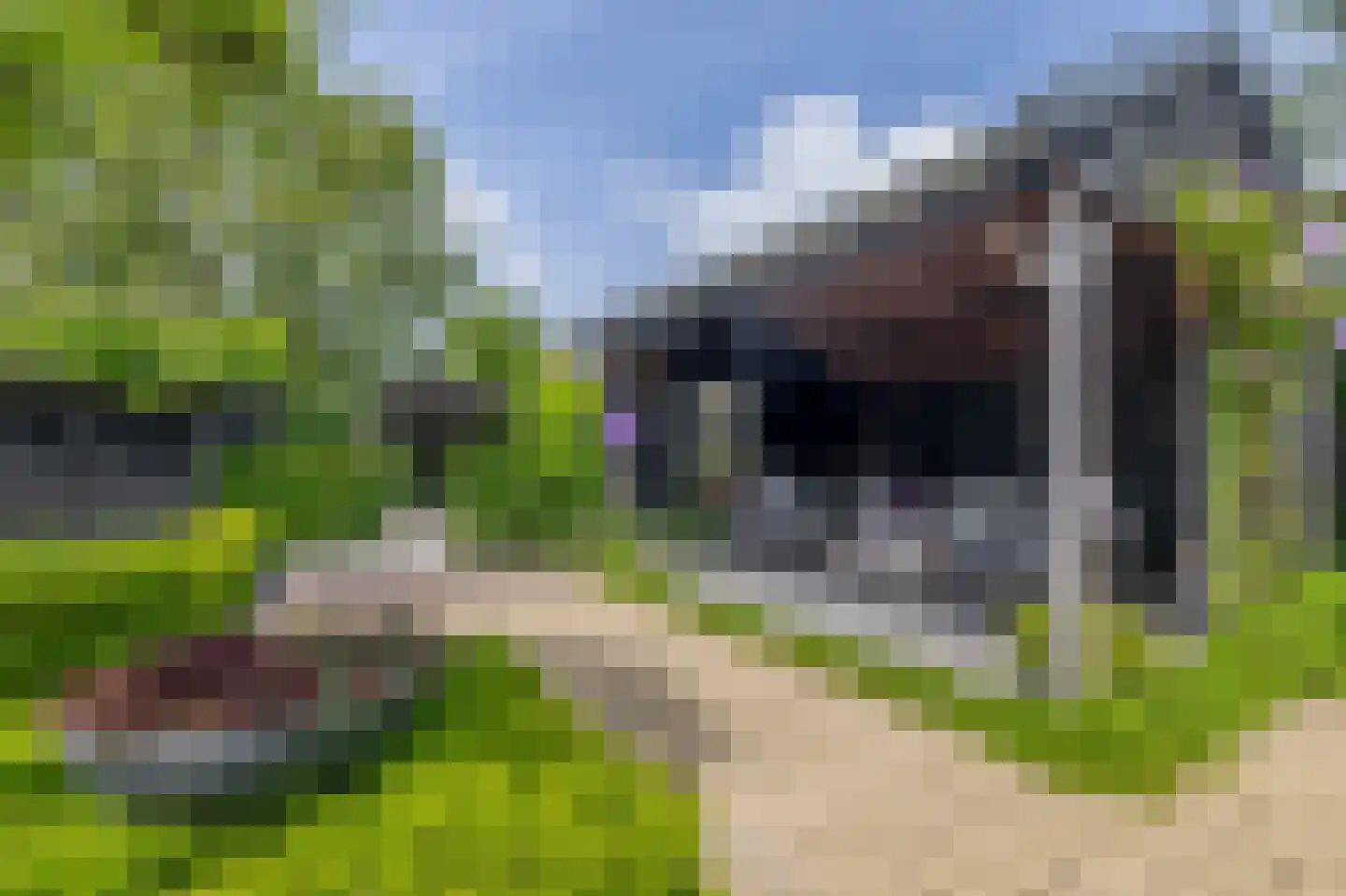 Dorp 69 Polsbroek thumbnail 102