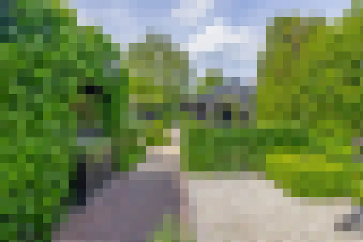 Dorp 69 Polsbroek thumbnail 111