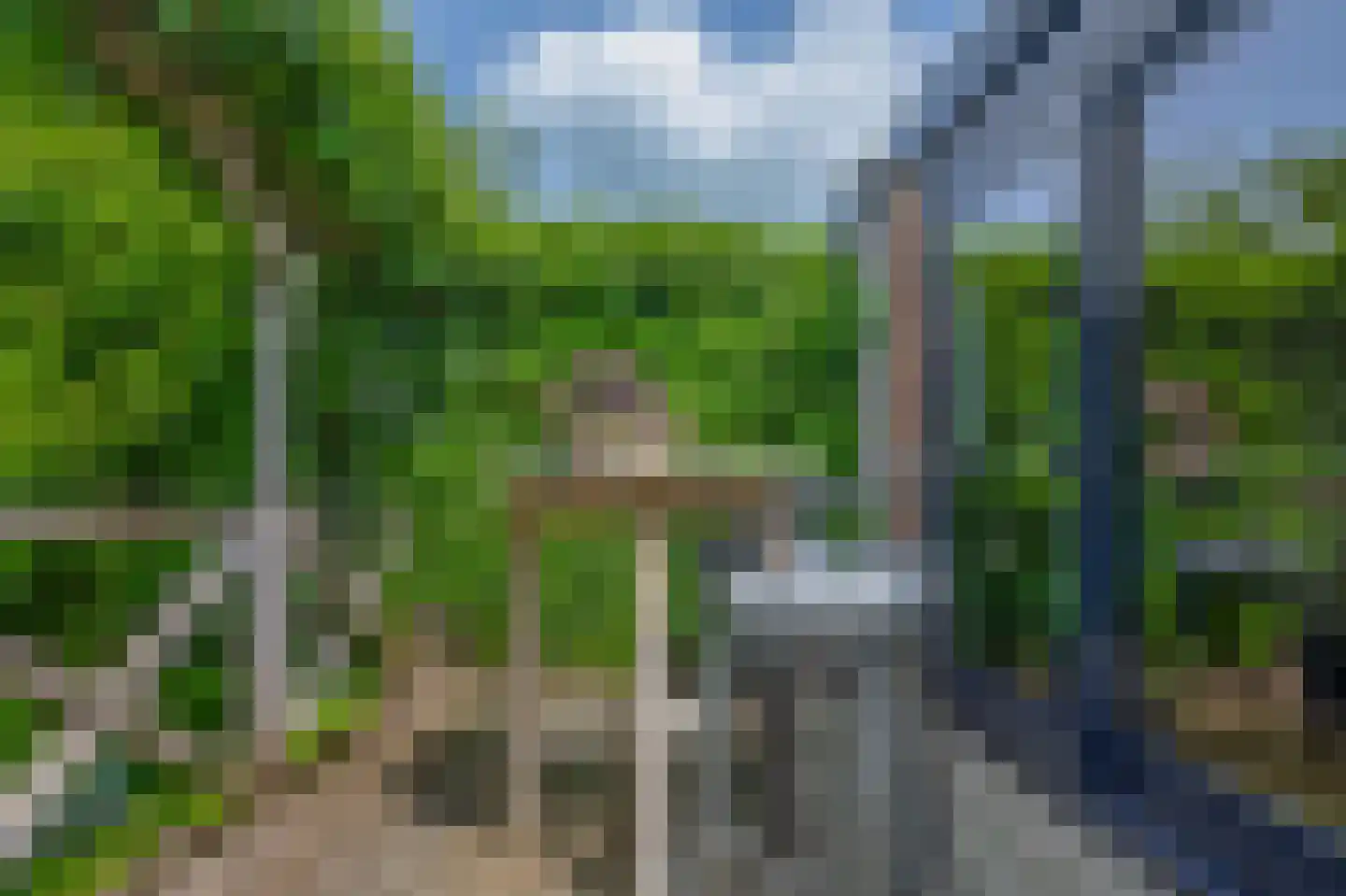 Dorp 69 Polsbroek thumbnail 117
