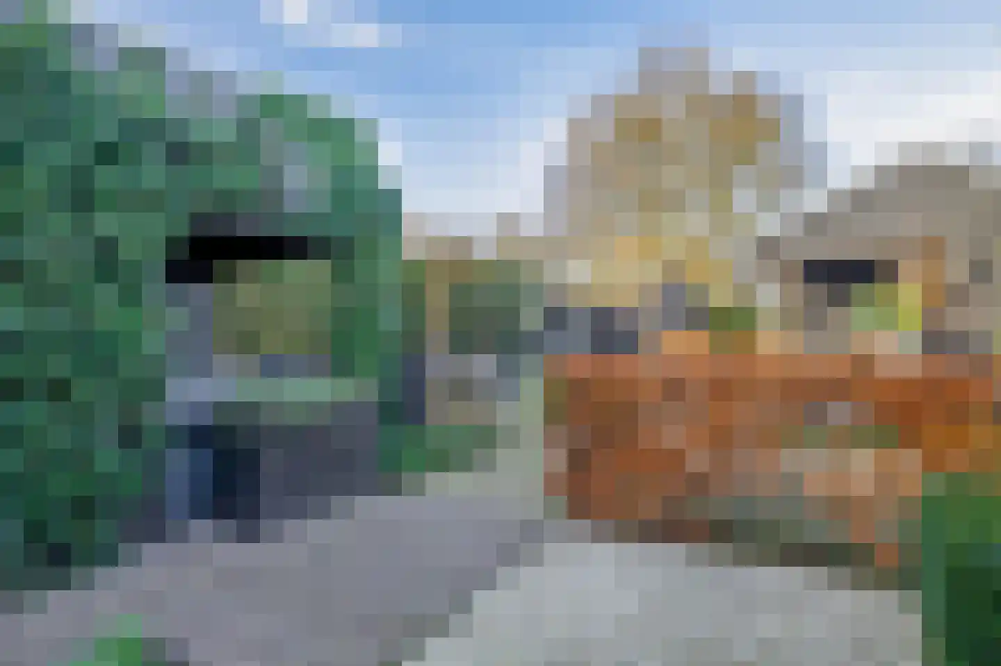 Dorp 69 Polsbroek thumbnail 47