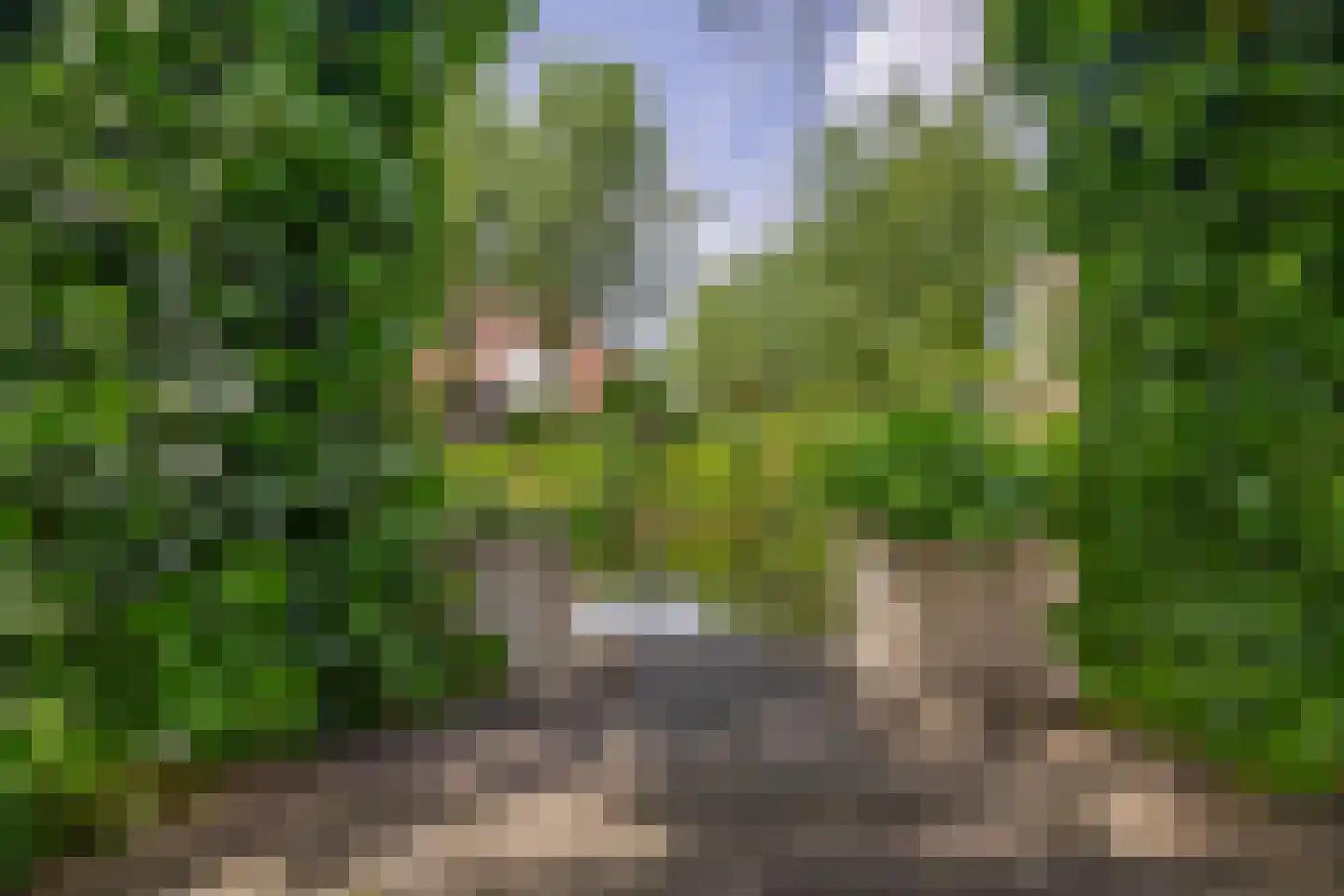Dorp 69 Polsbroek thumbnail 92