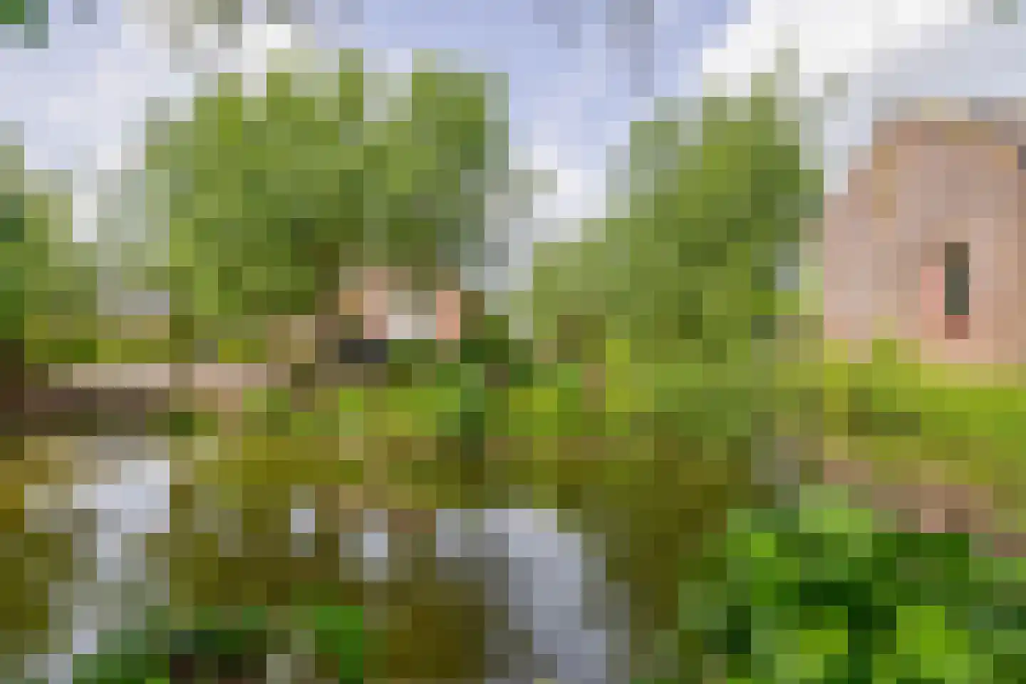 Dorp 69 Polsbroek thumbnail 95