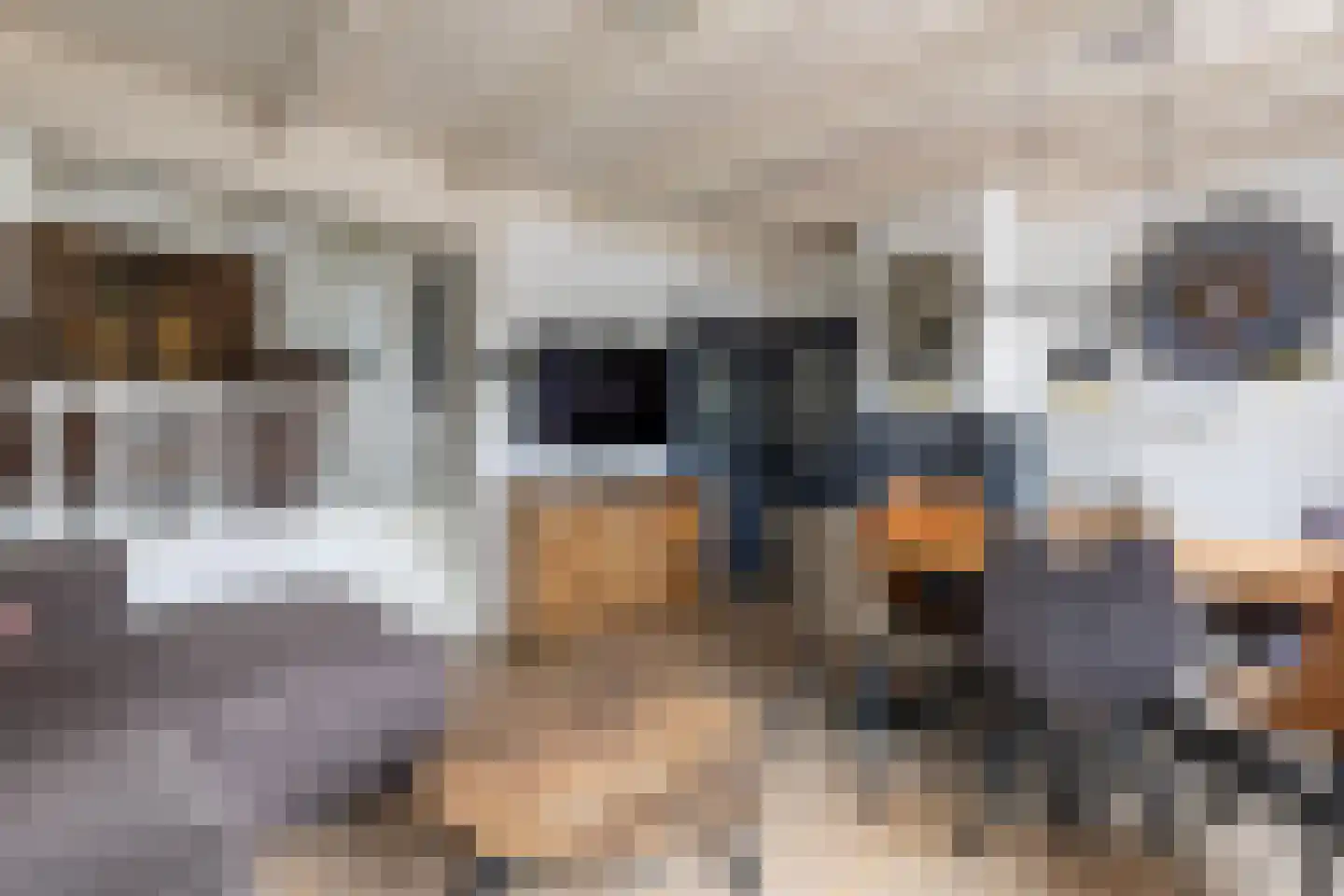Dorp 7 Polsbroek thumbnail 13