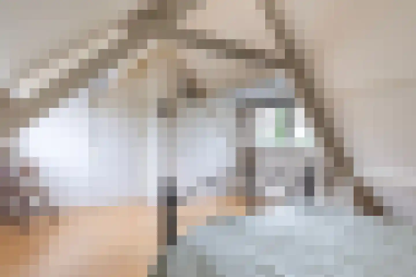 Dorp 7 Polsbroek thumbnail 33