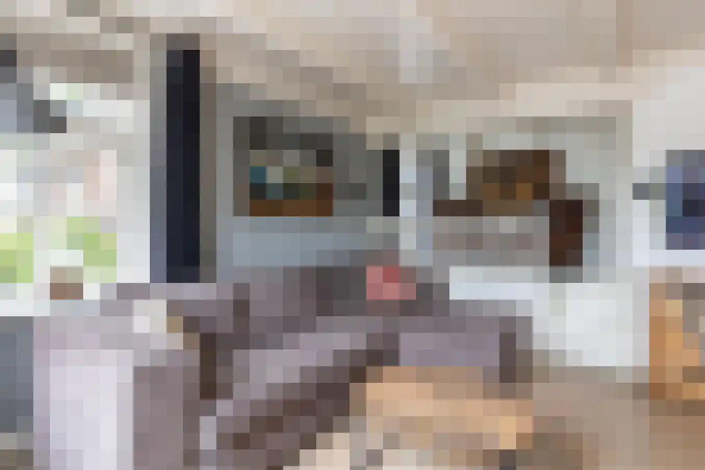 Dorp 7 Polsbroek thumbnail 8