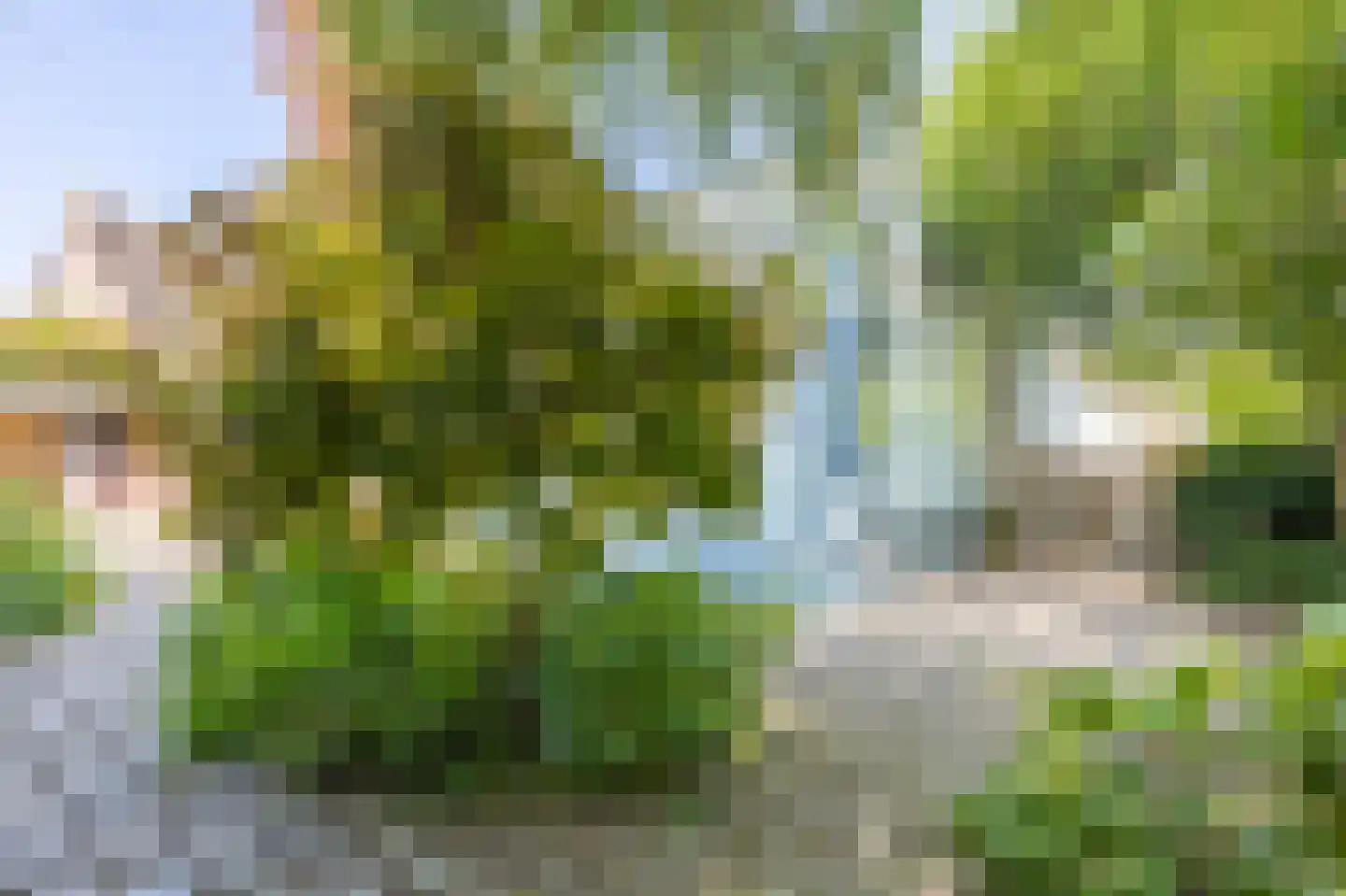 Dorp 72 Polsbroek thumbnail 50