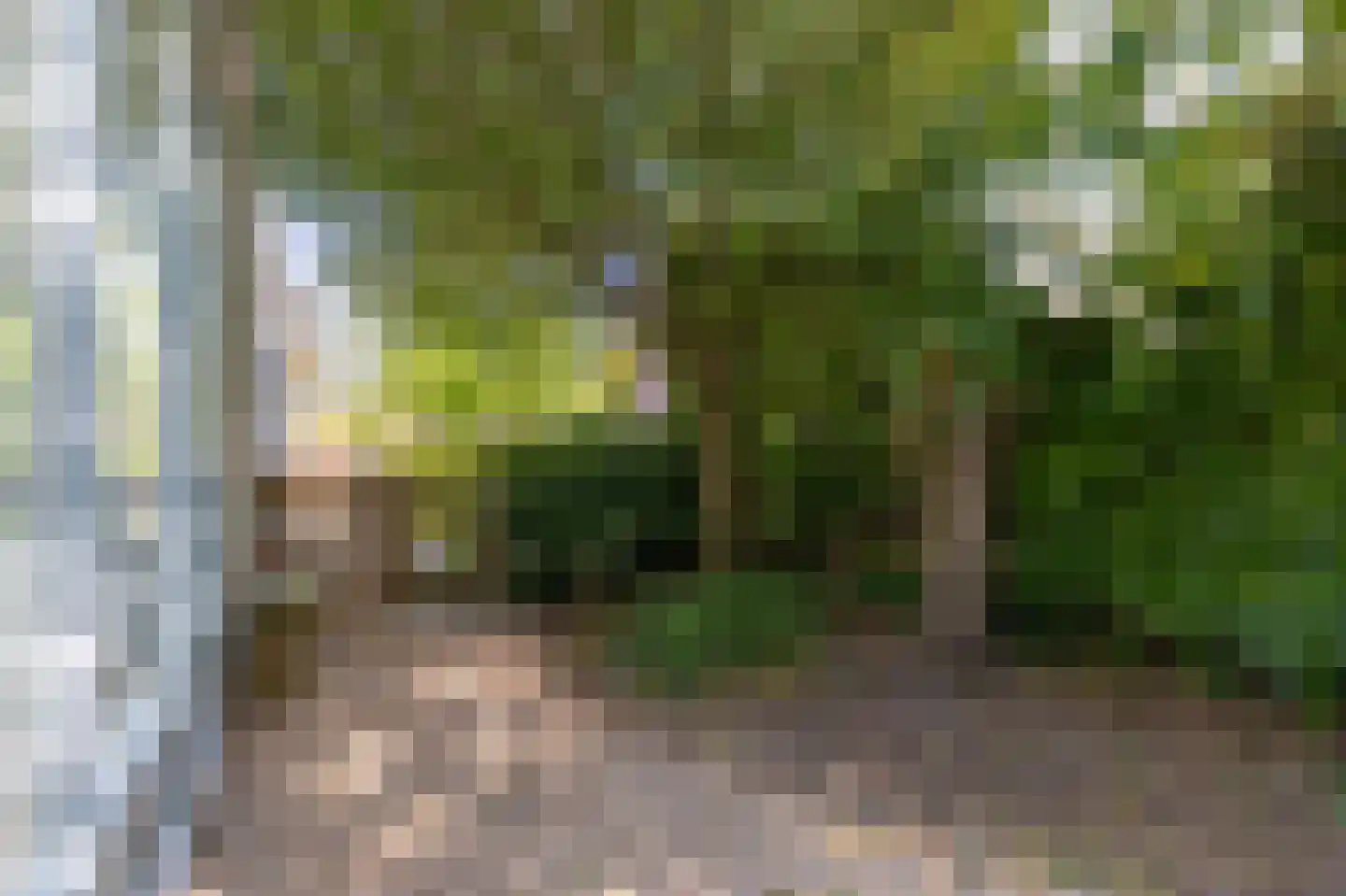 Dorp 72 Polsbroek thumbnail 51