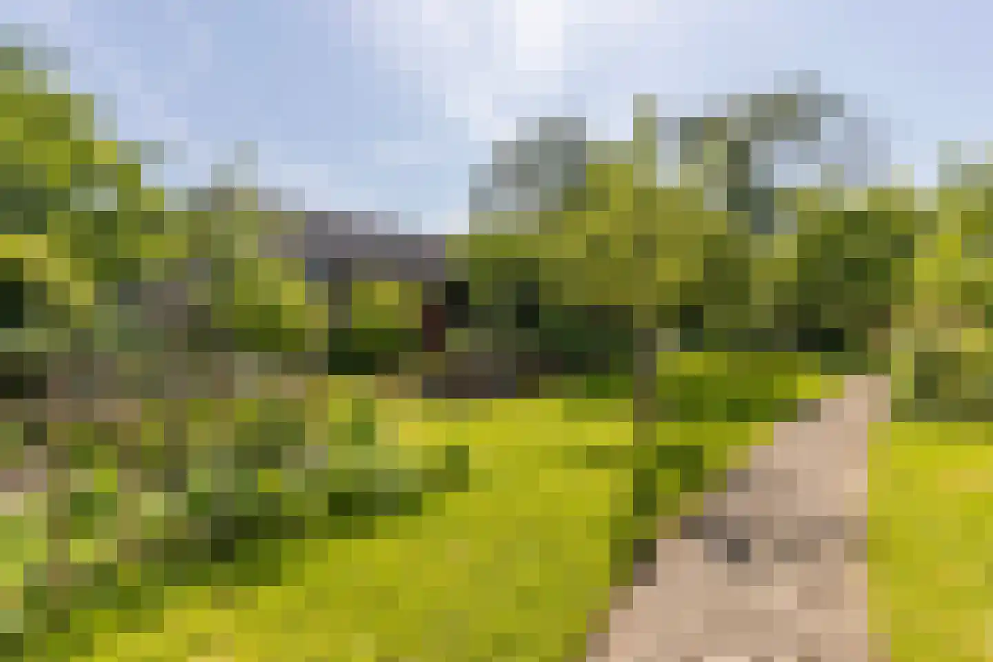Dorp 72 Polsbroek thumbnail 68