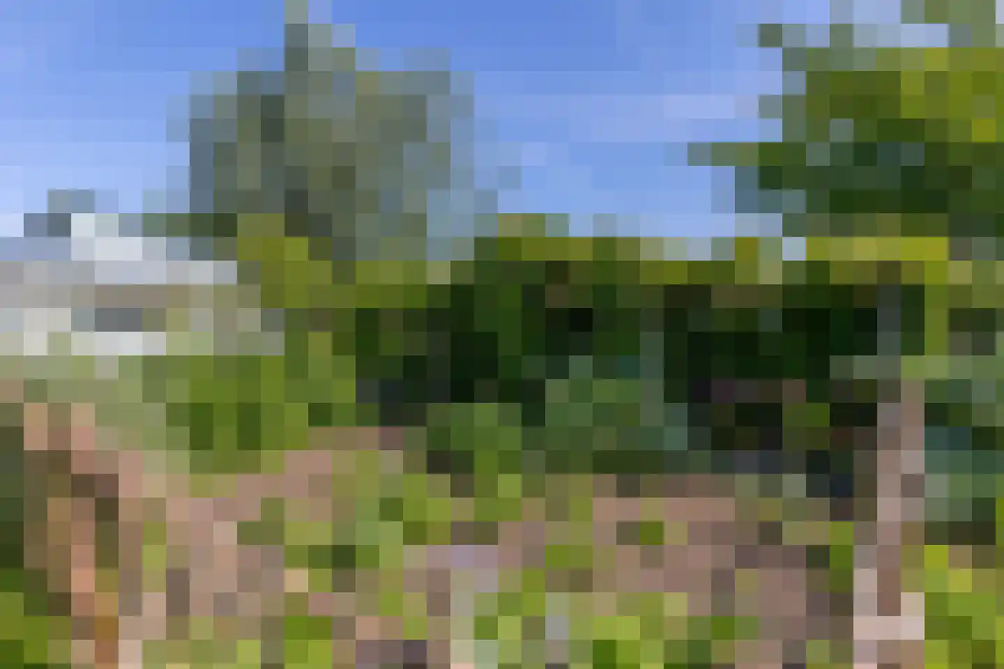 Dorp 72 Polsbroek thumbnail 69