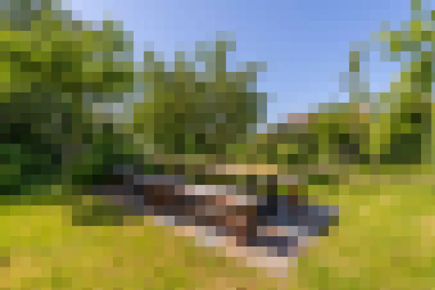 Dorp 72 Polsbroek thumbnail 70