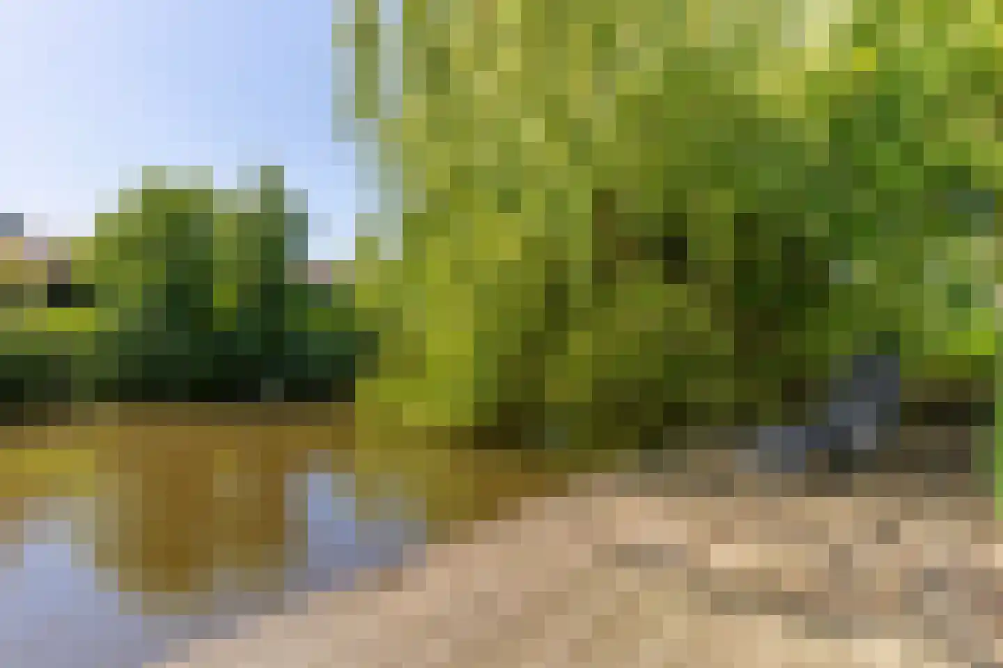 Dorp 72 Polsbroek thumbnail 78