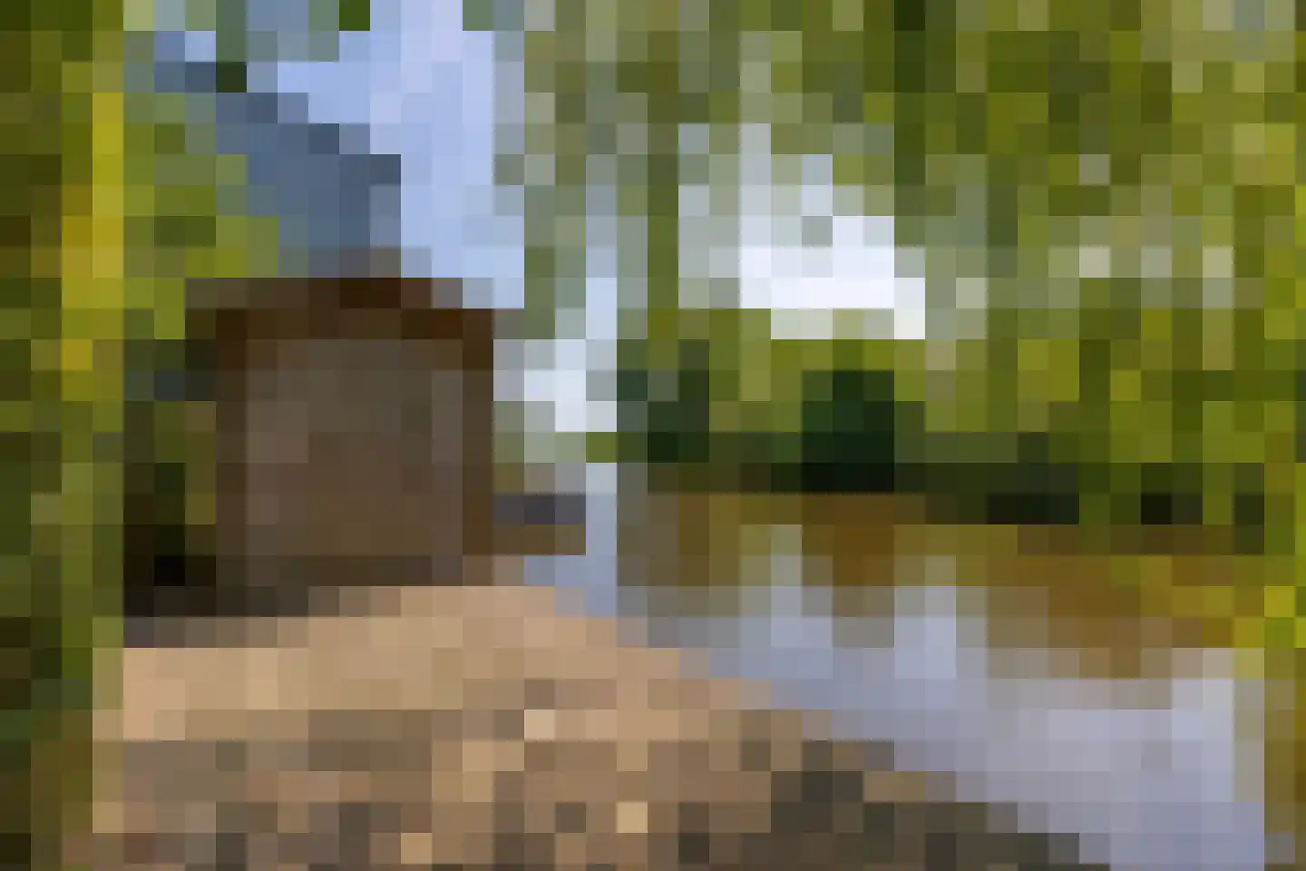 Dorp 72 Polsbroek thumbnail 79