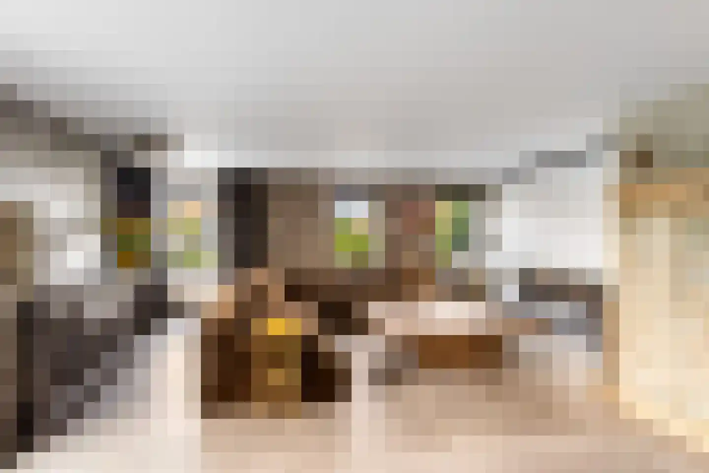Dorp 76 Polsbroek thumbnail 10