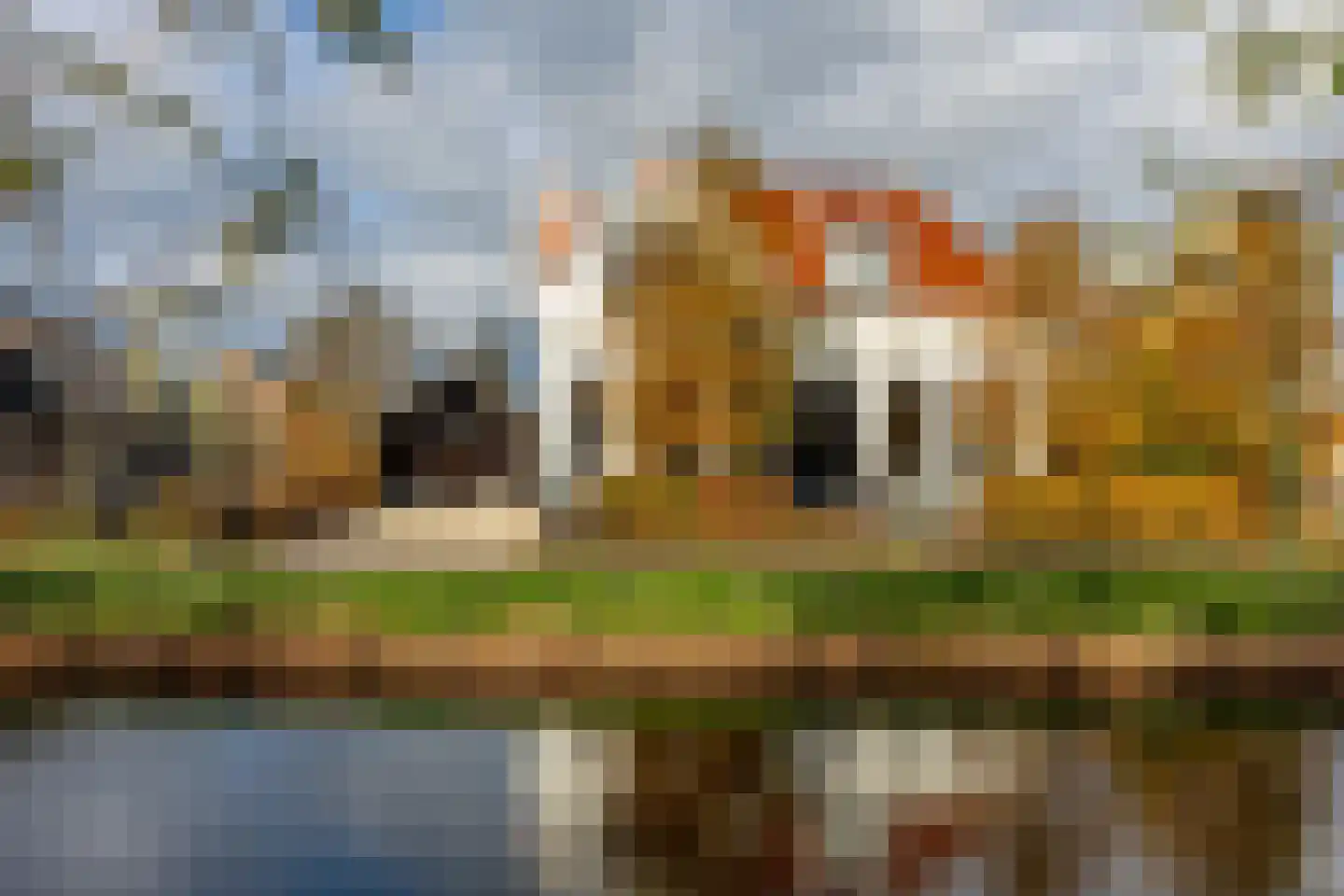 Dorp 79 Polsbroek