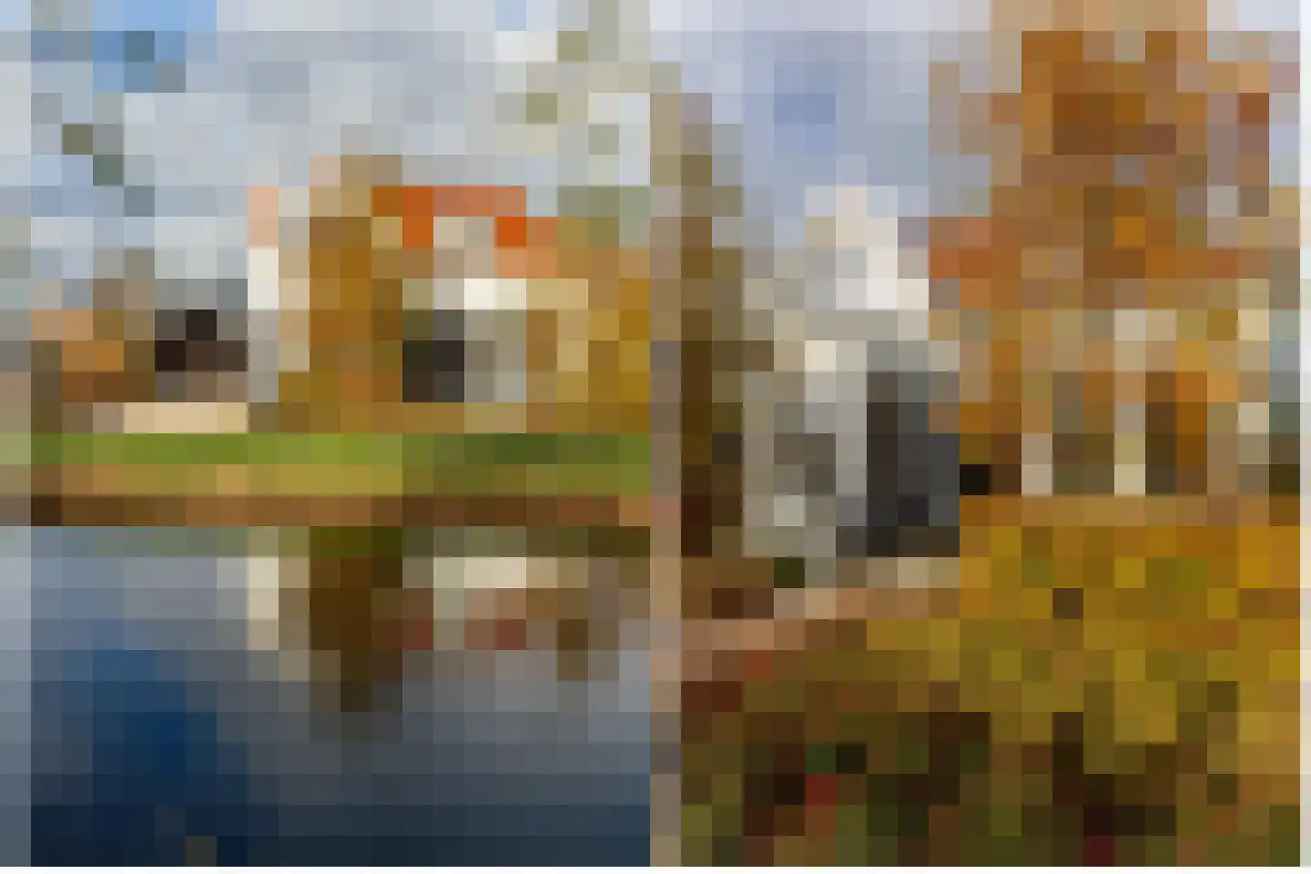 Dorp 79 Polsbroek thumbnail 4