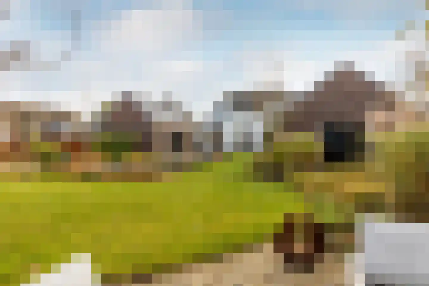 Dorp 79 Polsbroek thumbnail 49