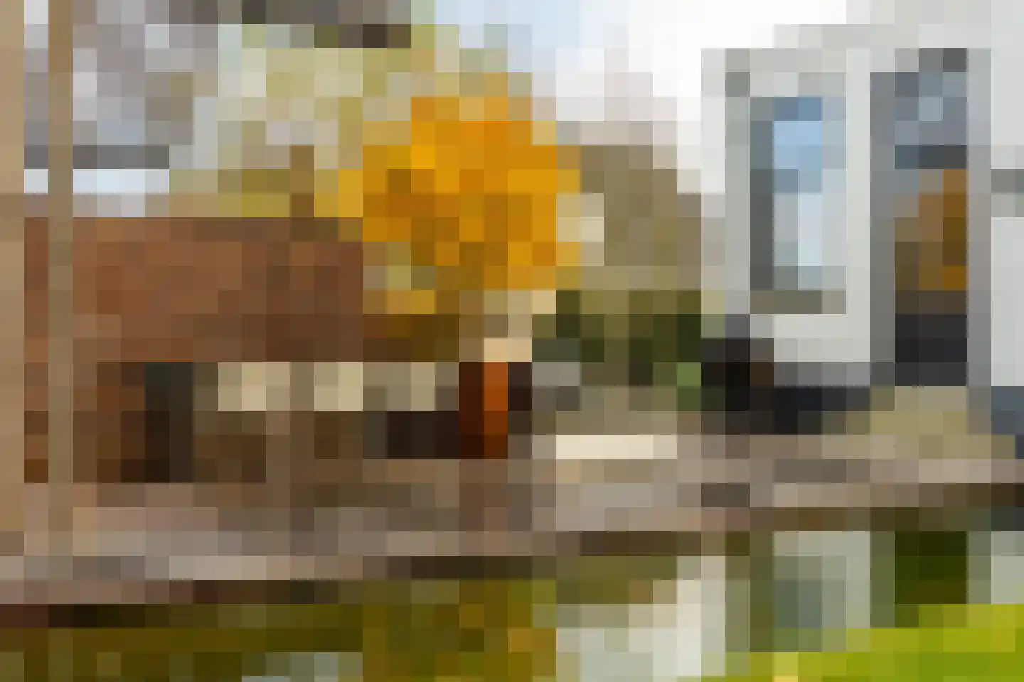 Dorp 79 Polsbroek thumbnail 50