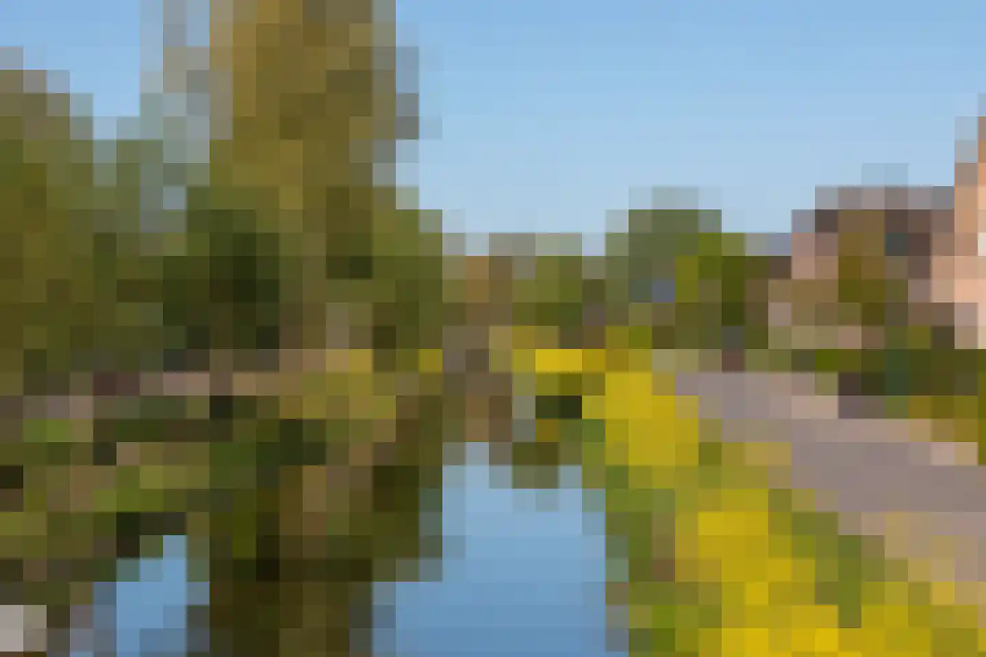 Dorp 83 Benschop thumbnail 12