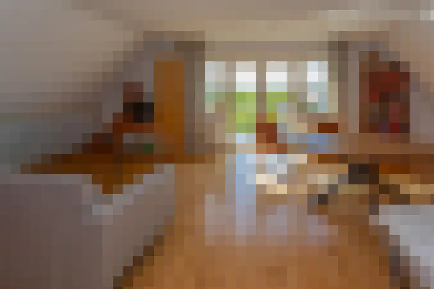 Dorp 83 Benschop thumbnail 34
