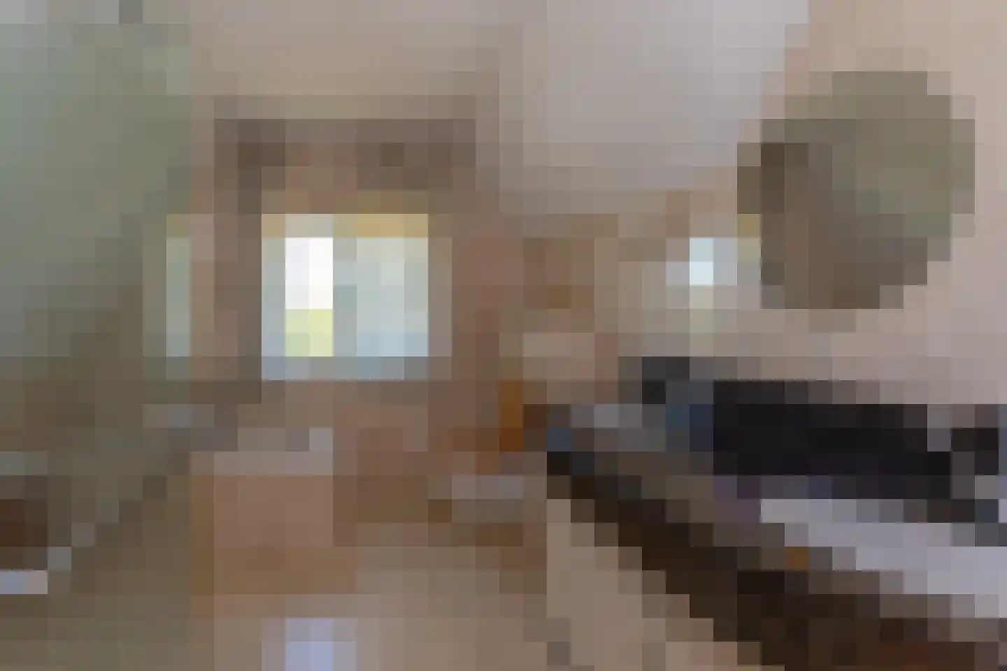Dorp 83 Benschop thumbnail 40