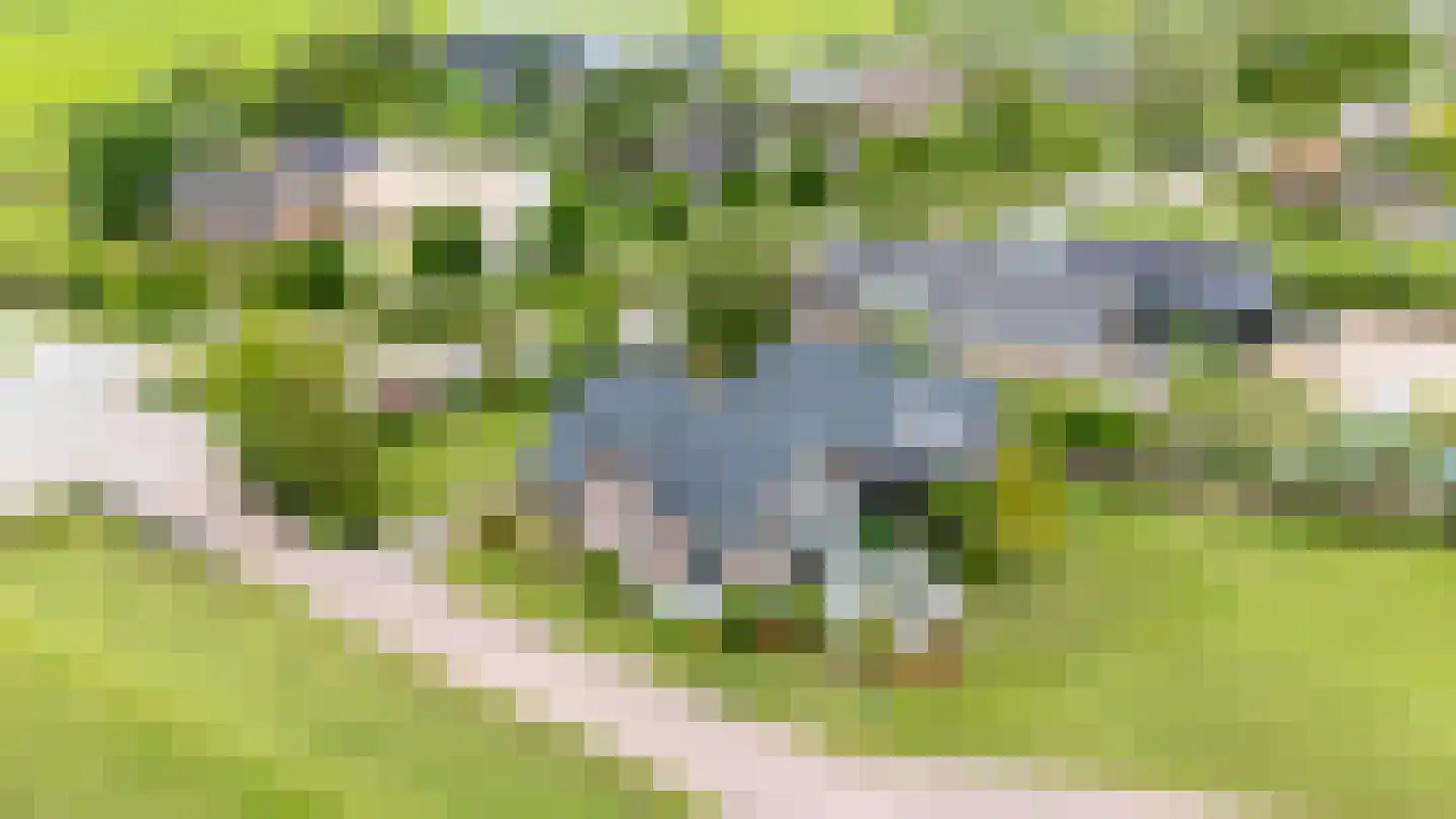 Dorp 83 Benschop thumbnail 48
